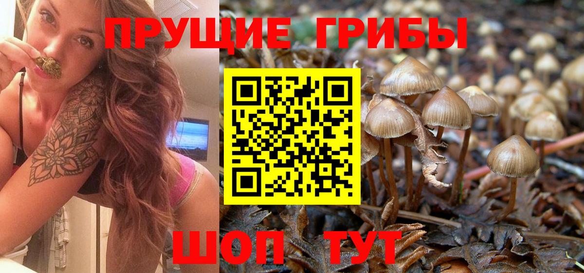 Псилоцибиновые грибы Cubensis Сухой Лог
