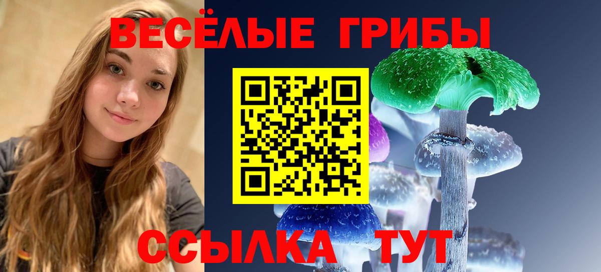 Галлюциногенные грибы прущие грибы  Вход с VPN  Сухой Лог 