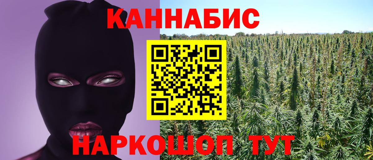 Шишки марихуана планчик  Бошки марихуана семена  Бошки марихуана OG Kush  Сухой Лог  Вход с VPN 